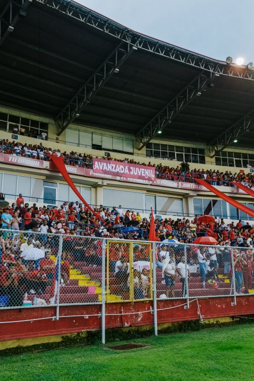 Free Lively crowd of spectators cheering at a large stadium, banners displayed. Stock Photo