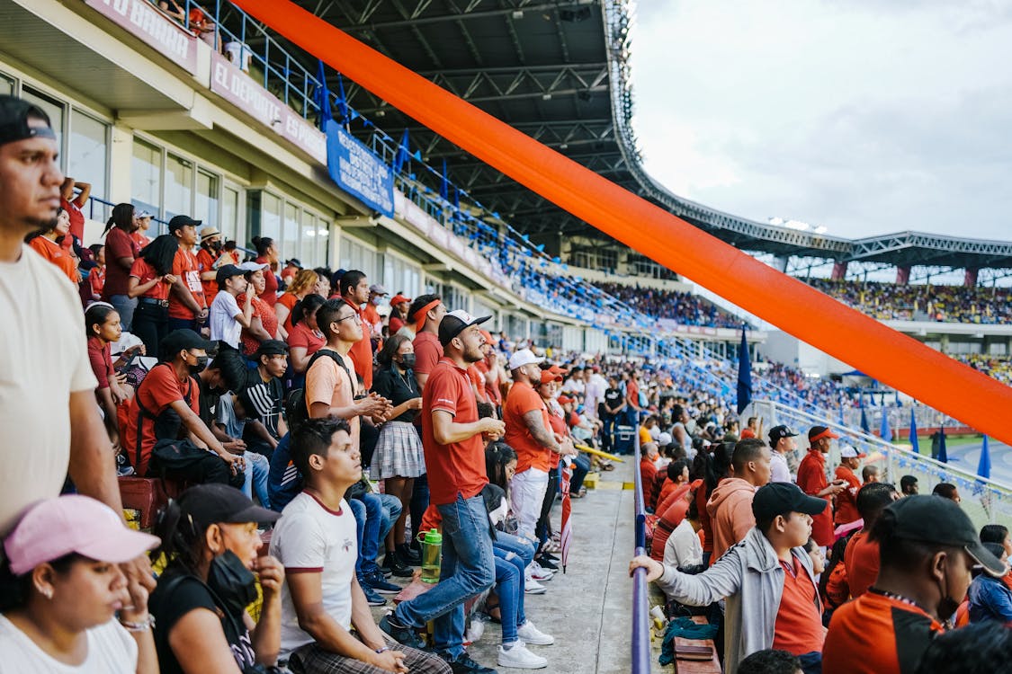 stadium with football fans