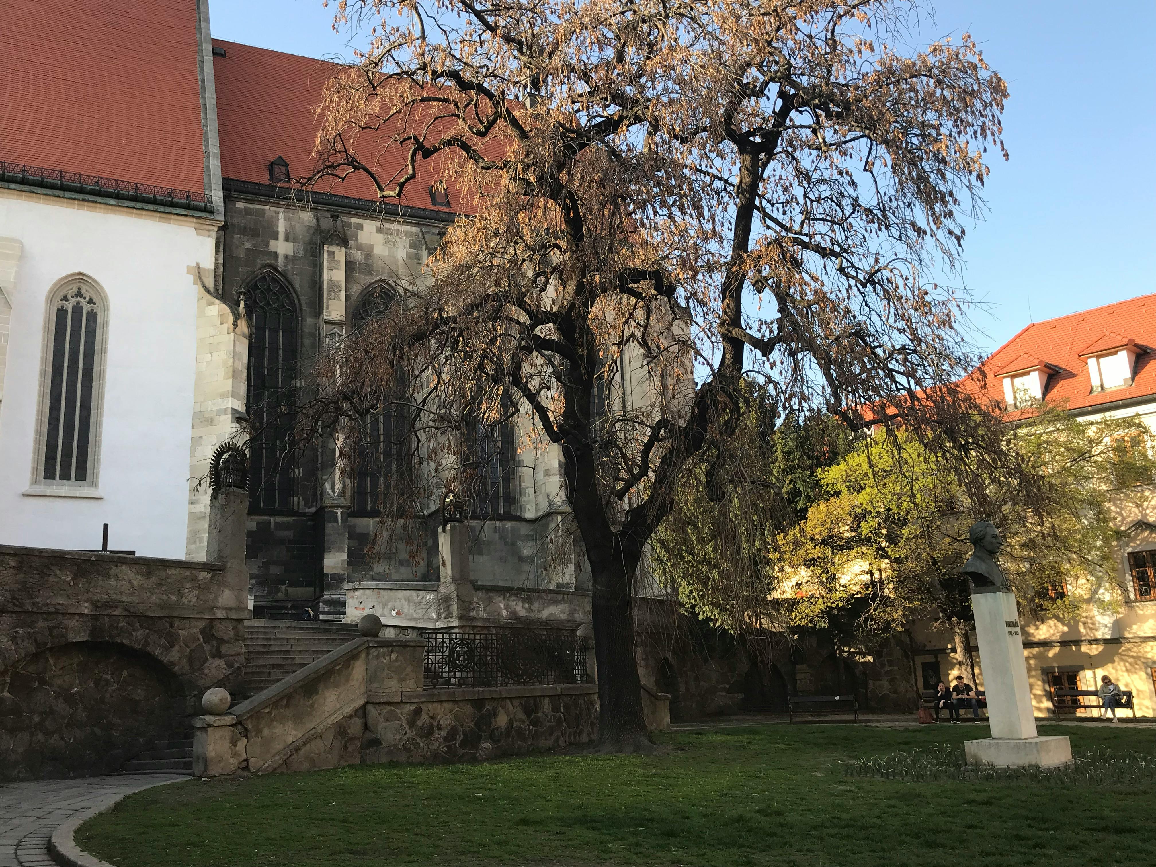 Difference Between Helm And Helmet Difference