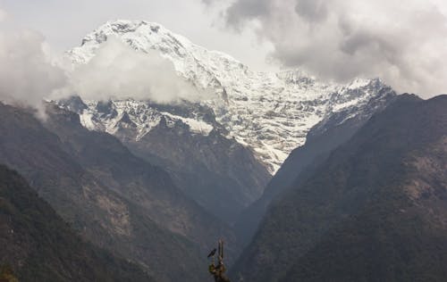 annapurna, dağ, doğa içeren Ücretsiz stok fotoğraf