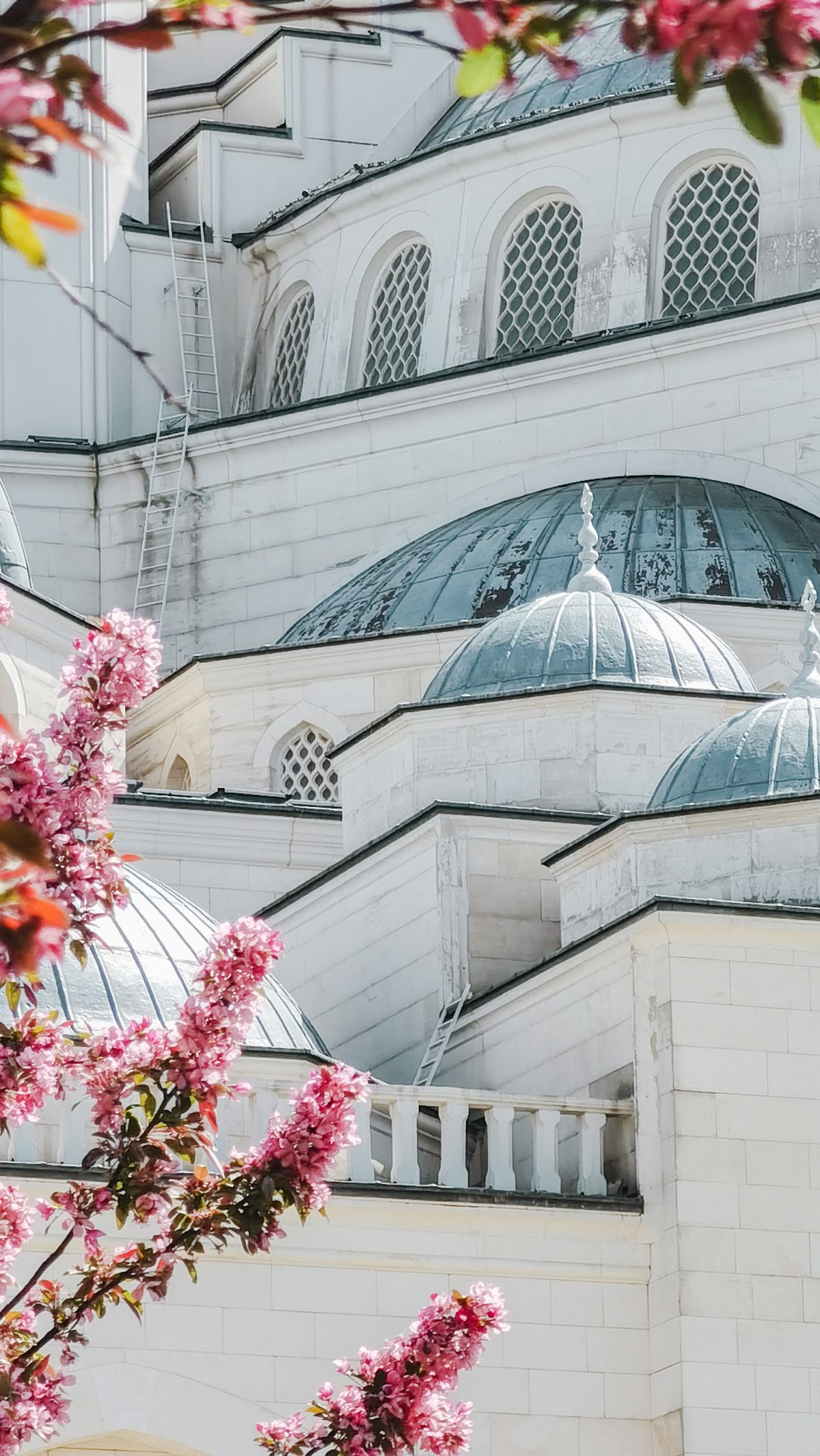 Japan's Homogeneity Meets Its First Mosque Crisis