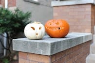 两个雕刻的南瓜，一白一橙，放在砖壁架上，非常适合万圣节装饰