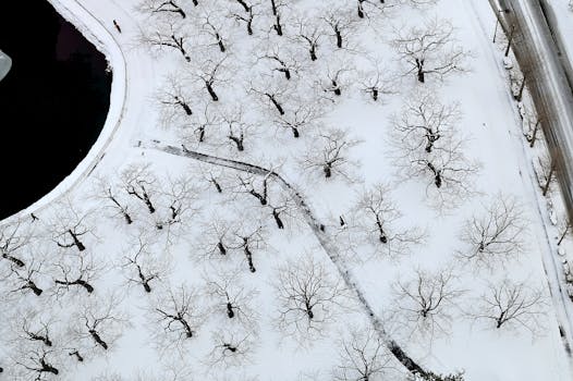 Aerial view of a snow-covered landscape with trees and a pond, showcasing winter serenity.