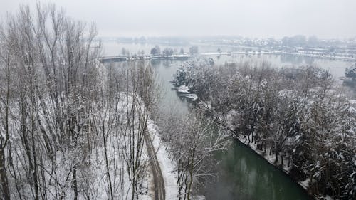 Ilmainen kuvapankkikuva tunnisteilla havupuinen, havupuut, joki