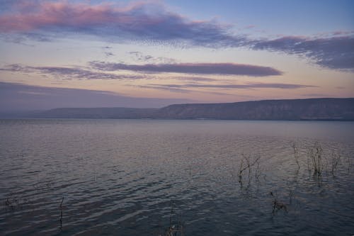 Foto d'estoc gratuïta de a l'aire lliure, aigües tranquil·les, alba
