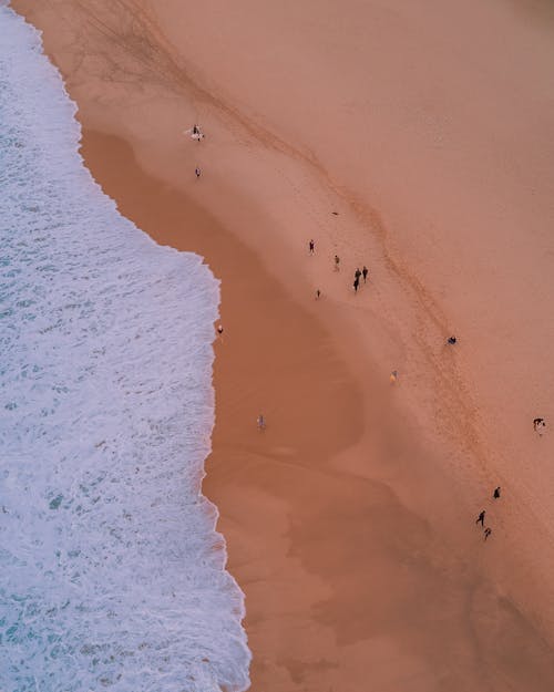 Free Photo of People Walking on Seashore Stock Photo