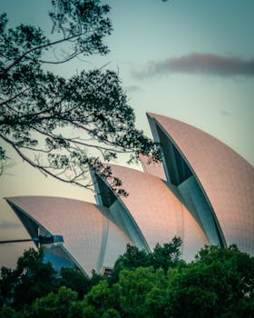 Sydney Opera House framed by tree branches at dusk, showcasing iconic architecture in a serene setting.