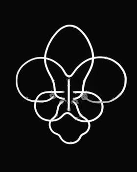 Abstract neon flower-shaped light on a black background, modern design.