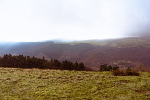 Free A serene landscape featuring rolling hills, lush grasslands, and dense forests under an overcast sky. Stock Photo