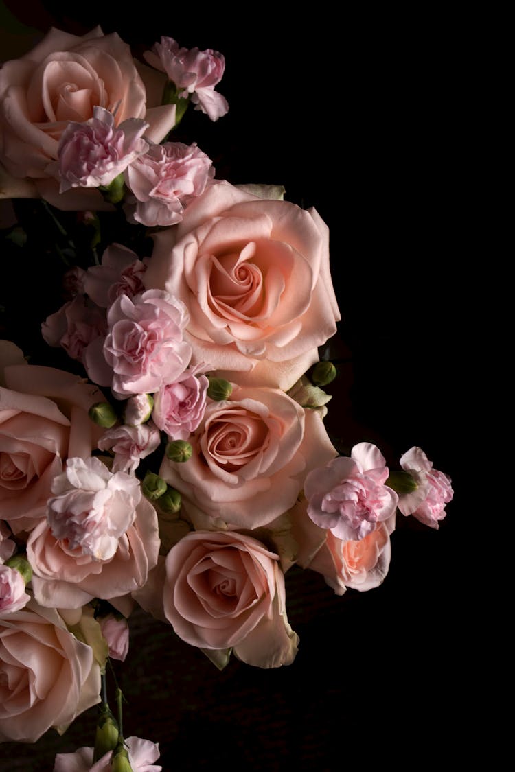 Close-Up Shot Of Roses 