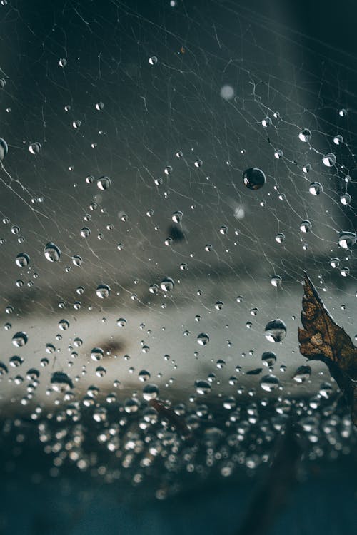 Raindrops on Glass