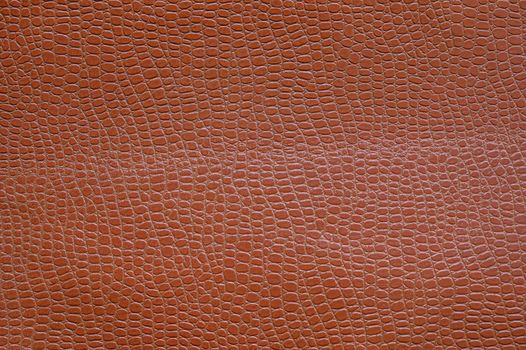Free stock photo of alligator, animal skin, artificial