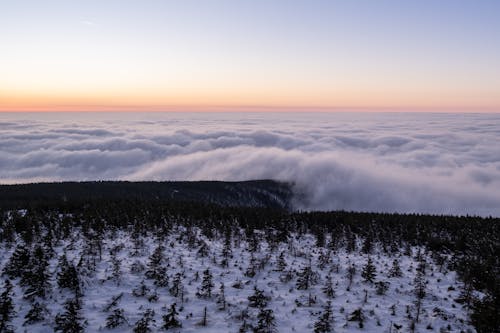 Kostenloses Stock Foto zu bäume, drohne erschossen, kalt