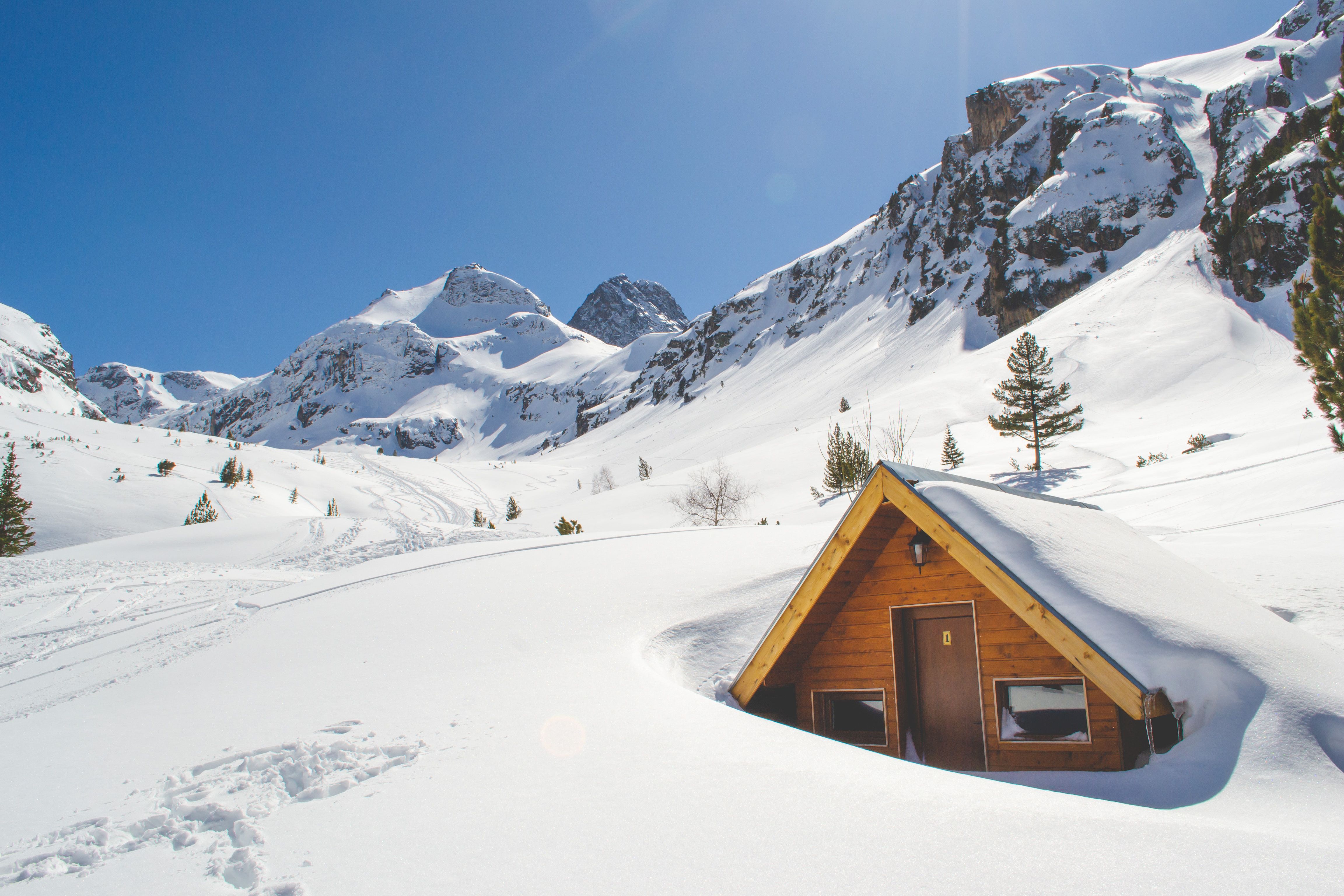 Brown Wooden House Covered With Snow Near Pine Trees · Free Stock Photo