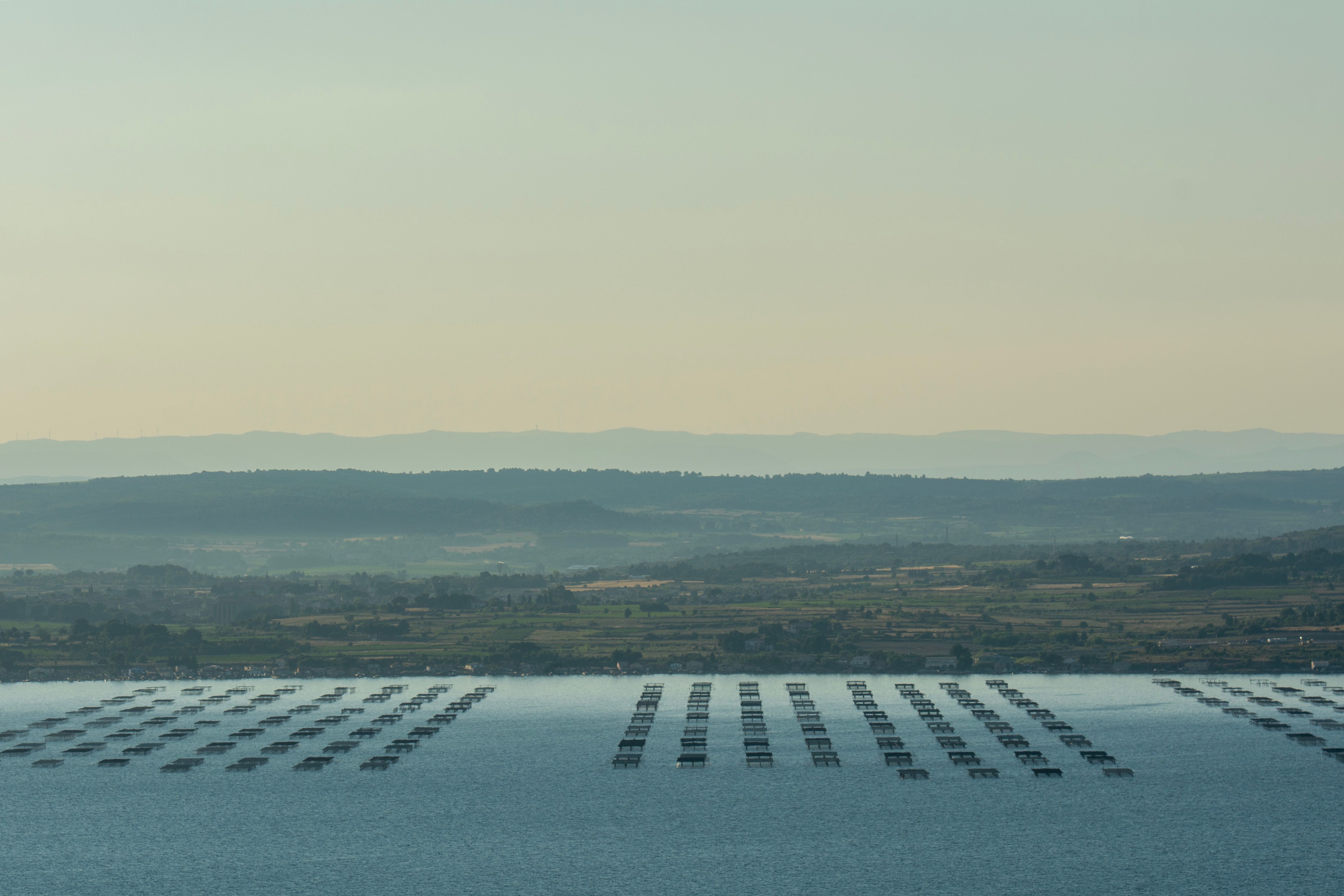Etang de Thau Marseillan ostreiculture vue aerienne