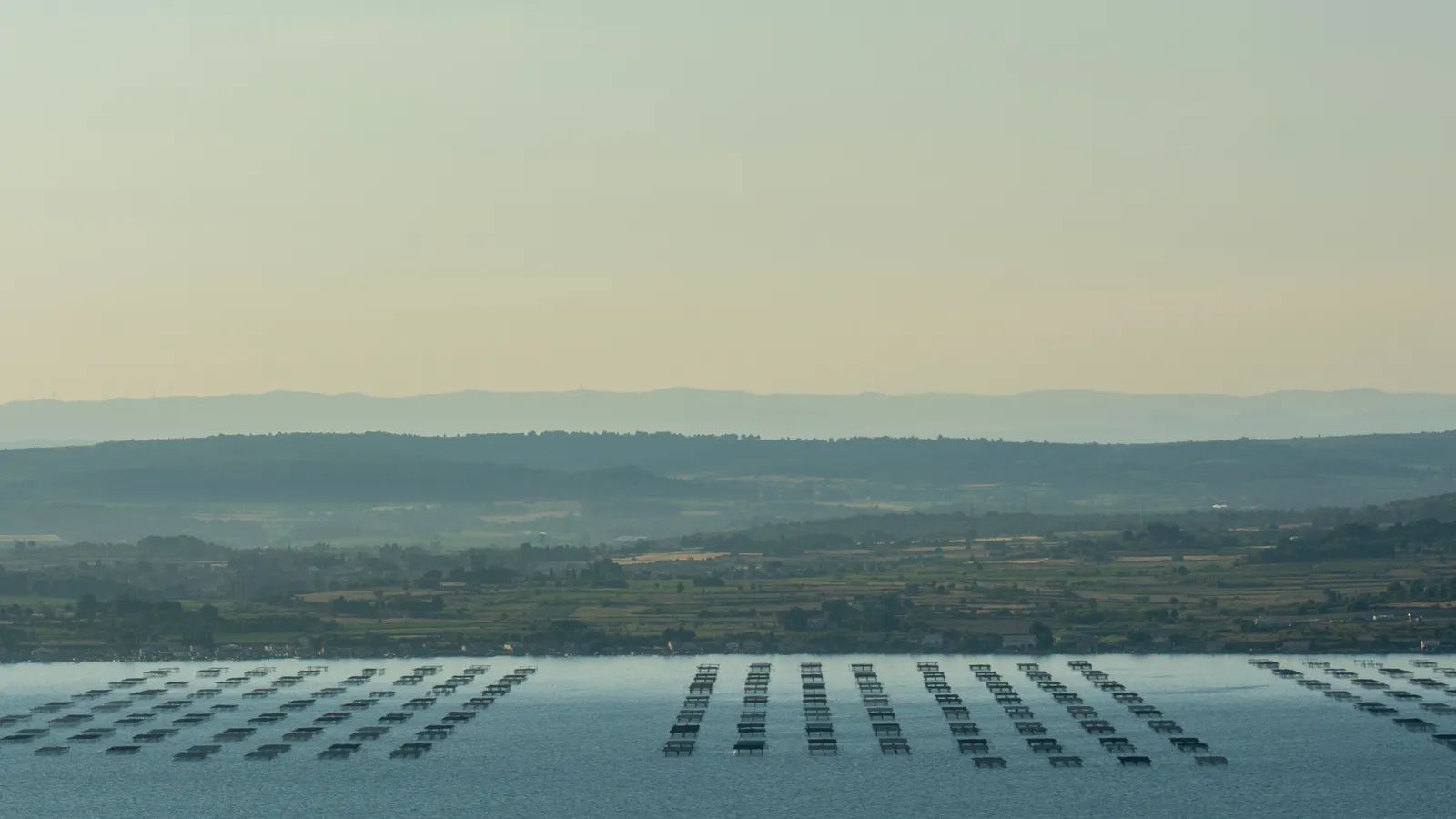 Etang de Thau Marseillan ostreiculture vue aerienne