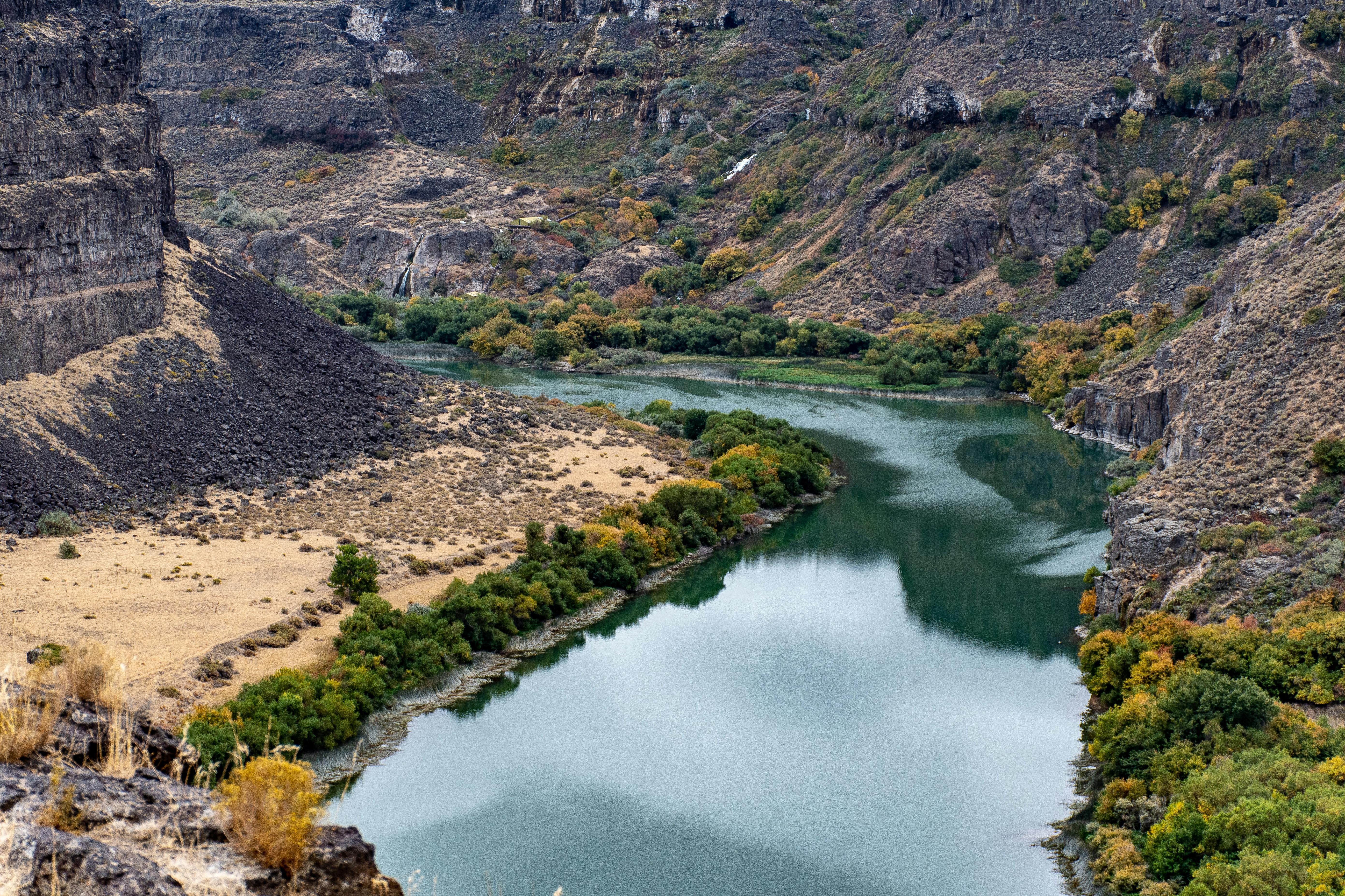 秋天，一条宁静的河流蜿蜒穿过岩石峡谷，展现出树叶生机勃勃的壮丽景色