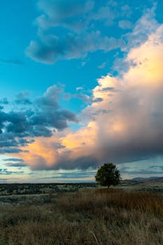 美丽的日落下，充满活力的云与地平线上的一棵孤树，共同构成了一幅宁静的风景