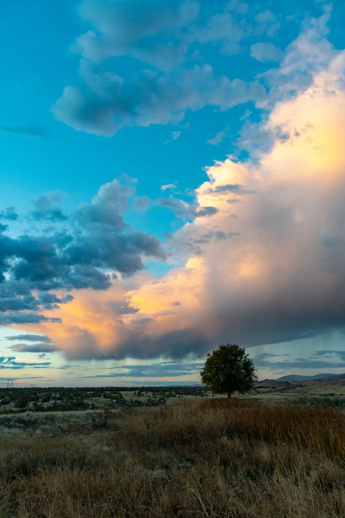 Free Beautiful sunset scene with vibrant clouds and a solitary tree on the horizon creating a serene landscape. Stock Photo