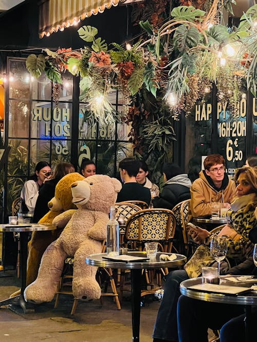 Free stock photo of bar cafe, bears, cafe culture