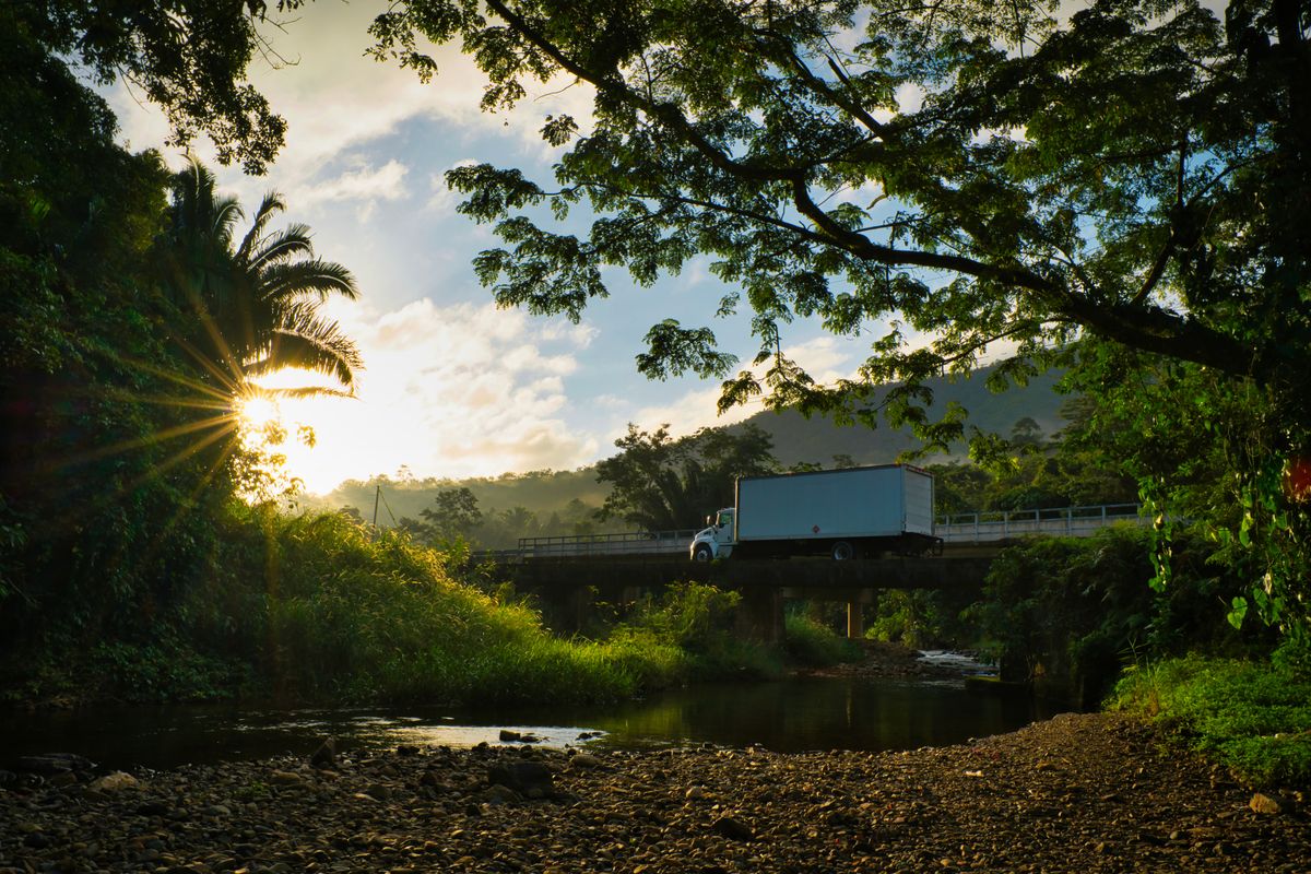 same-day man and van in Apsley — Loaded properly: blankets, straps and a plan in Apsley