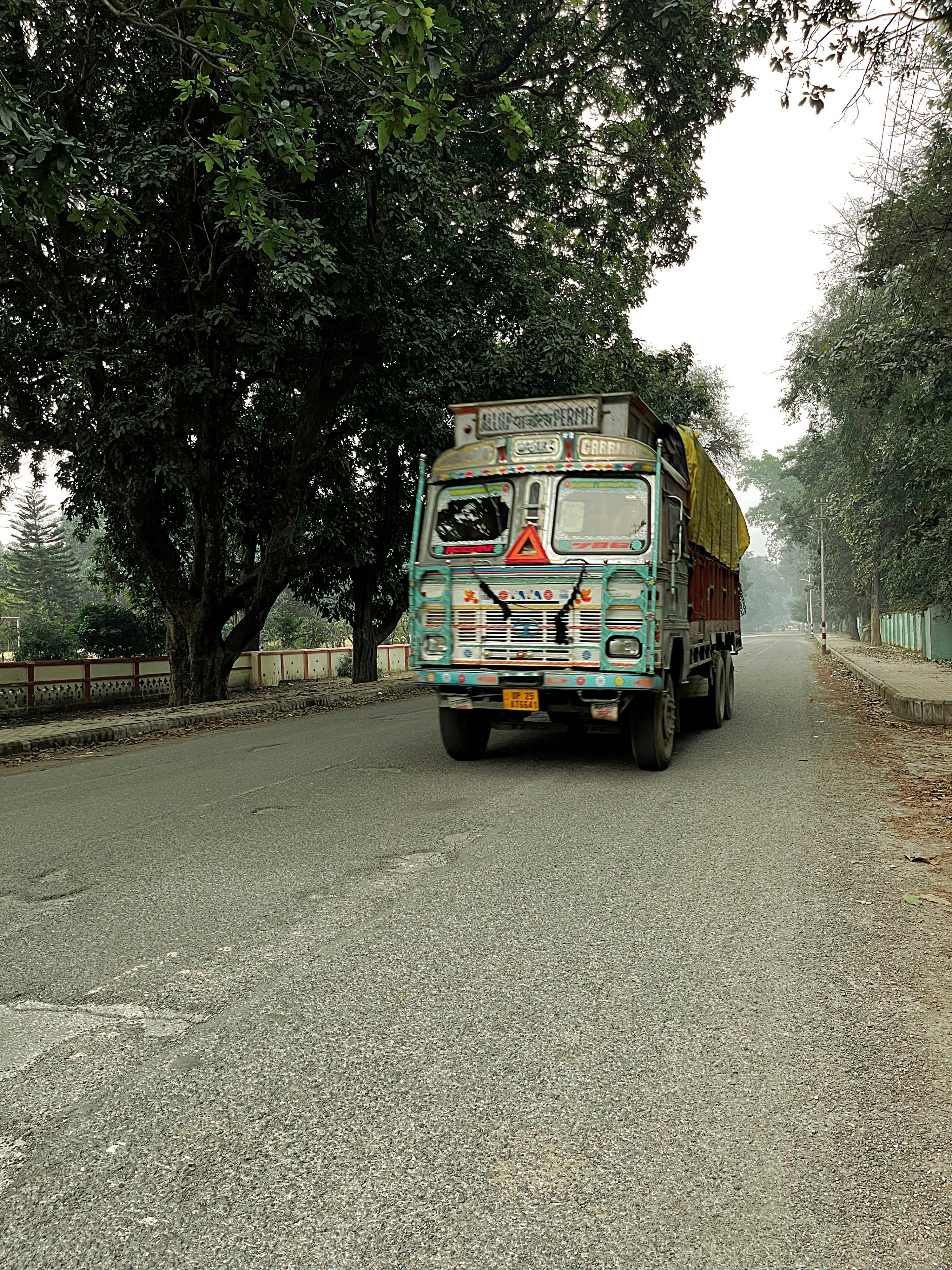 Free A vibrant truck travels on a quiet, tree-lined rural road, capturing transportation and countryside vibes. Stock Photo
