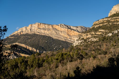 Immagine gratuita di alberi, foresta, formazioni rocciose