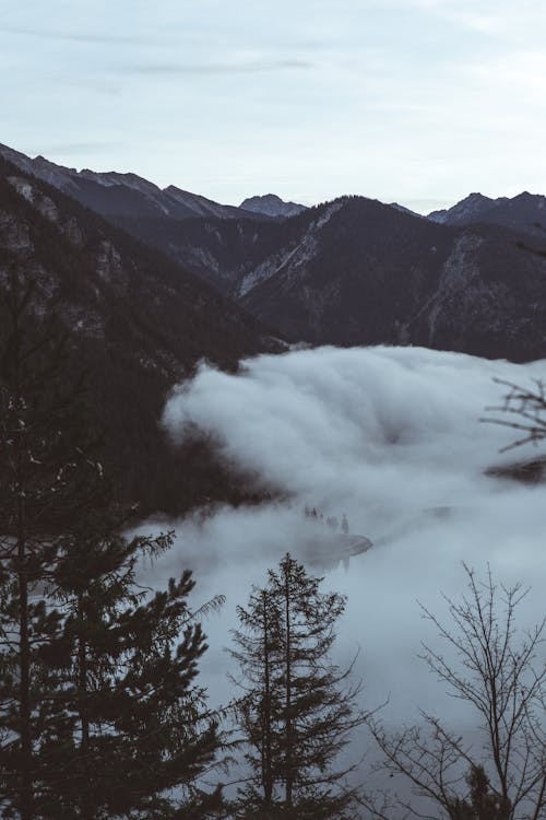 Fog Covering Valley