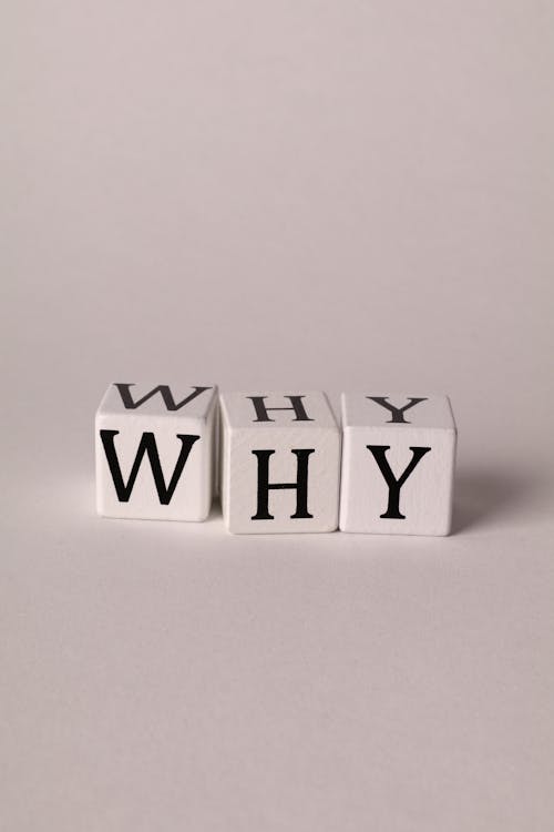 Why Word Photos Photos, Download The BEST Free Why Word Photos Stock ...
