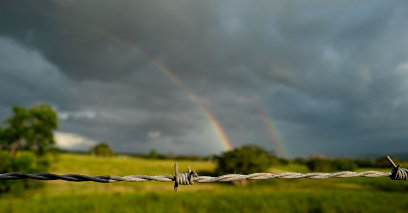 Couleurs Arc-en-Ciel : Guide Déco Complet