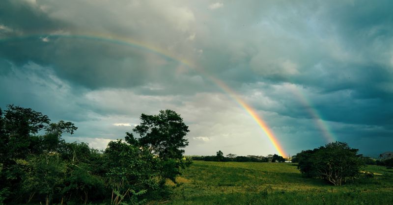 Couleurs Arc-en-Ciel : Guide Déco Complet