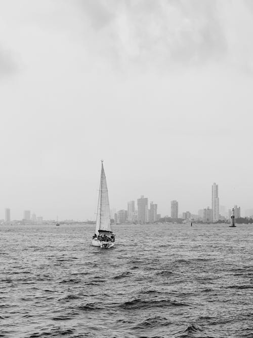Immagine gratuita di baia, barca a vela, bianco e nero