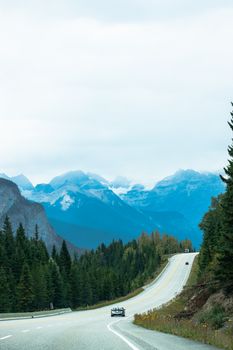 Winding road through forested mountains in Banff, Alberta under an overcast sky.