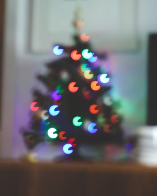 Kostnadsfri bild av barrträd, jul, julgran
