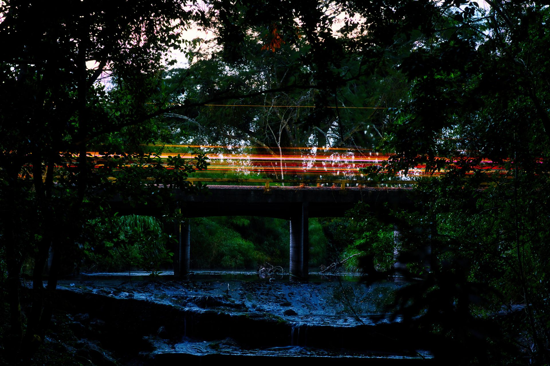 Stunning long exposure shot of a forest bridge in Spanish Lookout, Belize at night.
