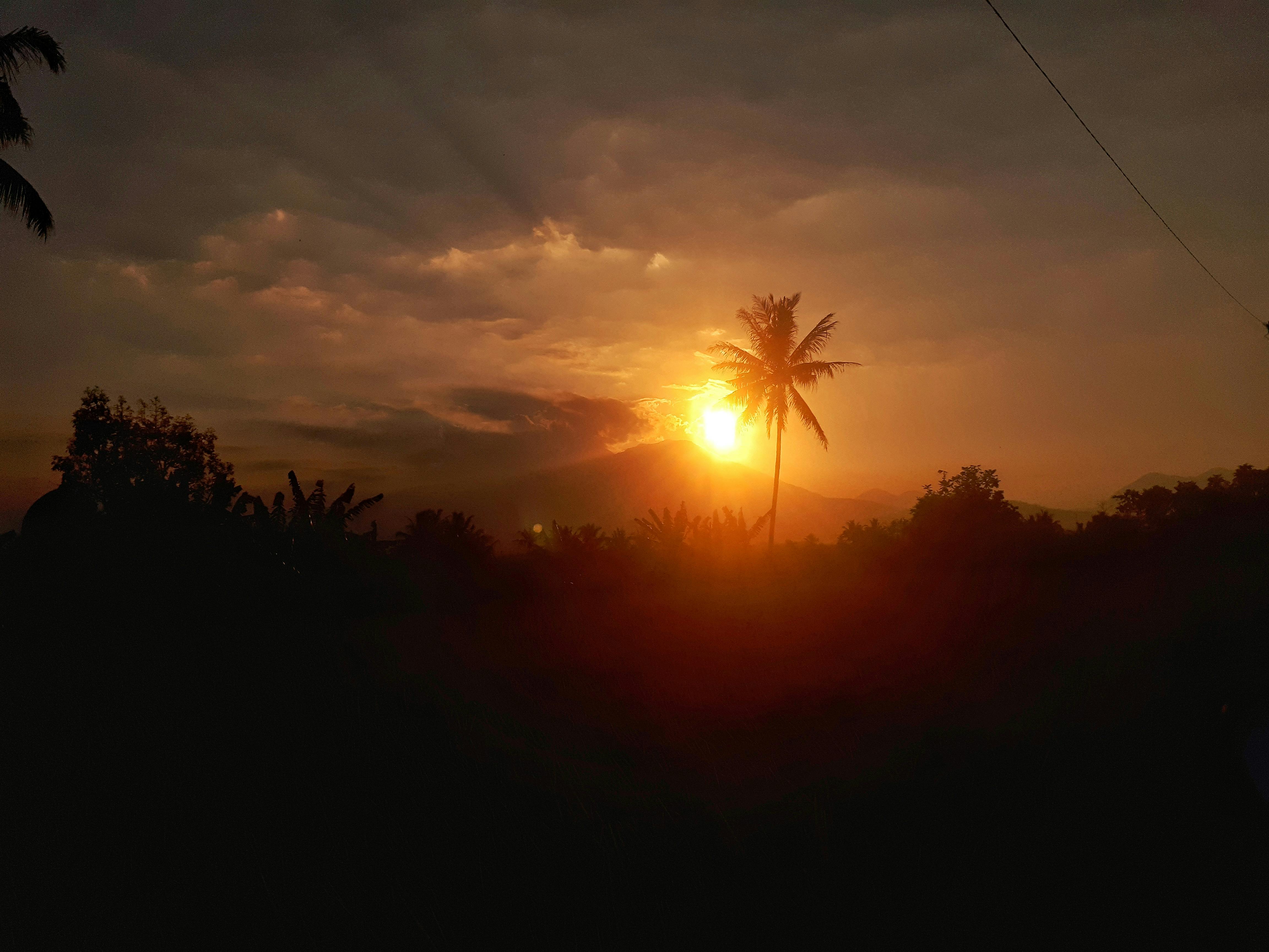 Difference Between Sole E25 And E35 Difference