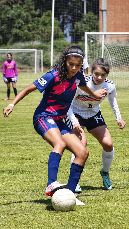 Foto profissional grátis de ação, baile, brincadeiras