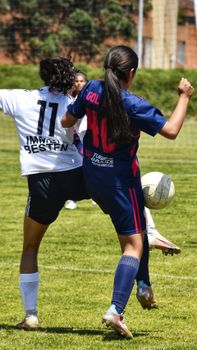 Dynamic soccer match with two women competing for the ball on a grassy field.
