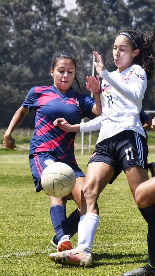 Free Two women soccer players compete intensely for the ball during a day match. Stock Photo