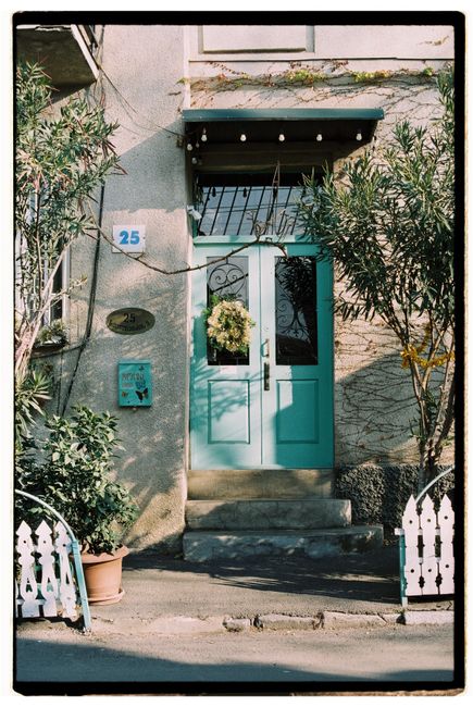 Beautiful teal door with a wreath, surrounded by plants in Tbilisi, Georgia.