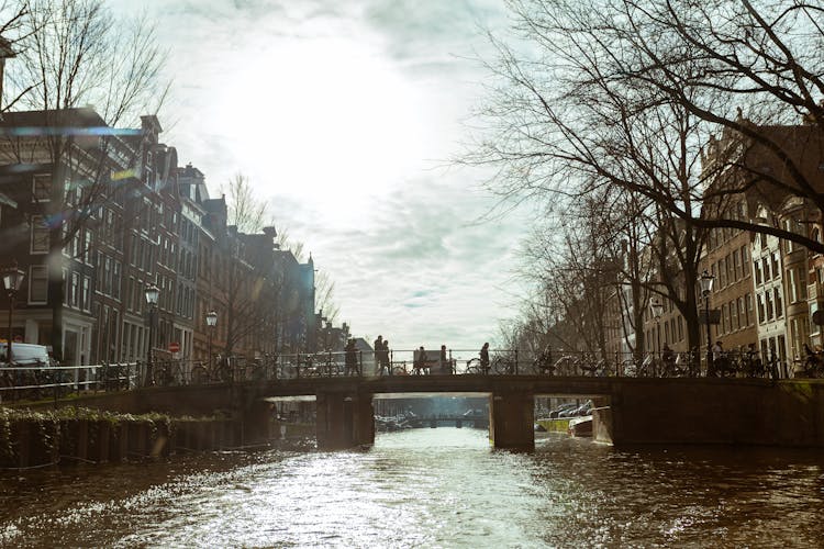 Bridge Across A River In The City