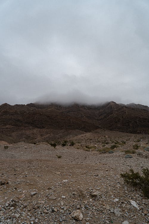 Fog over Arid Wasteland