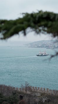 Serene view of a ship sailing through the Bosporus Strait in Istanbul, framed by nature.