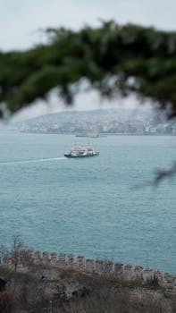 A ferry travels across the Bosporus Strait in Istanbul, framed by tree branches and ancient city walls.