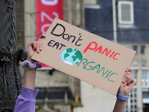 Woman Hands Holding Banner