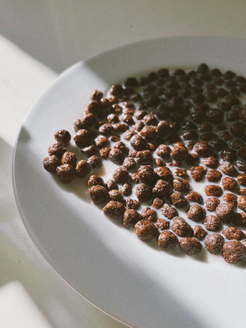 Free Delicious chocolate cornflakes soaking in fresh milk on a pristine plate. Stock Photo