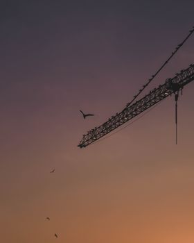 Silhouetted construction crane with birds flying against a colorful sunset sky, creating a peaceful urban scene.