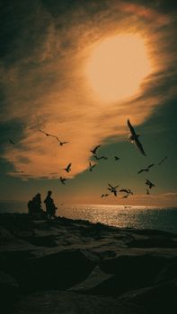 Dramatic beach scene with silhouettes of people and seagulls against a vibrant sunset sky.
