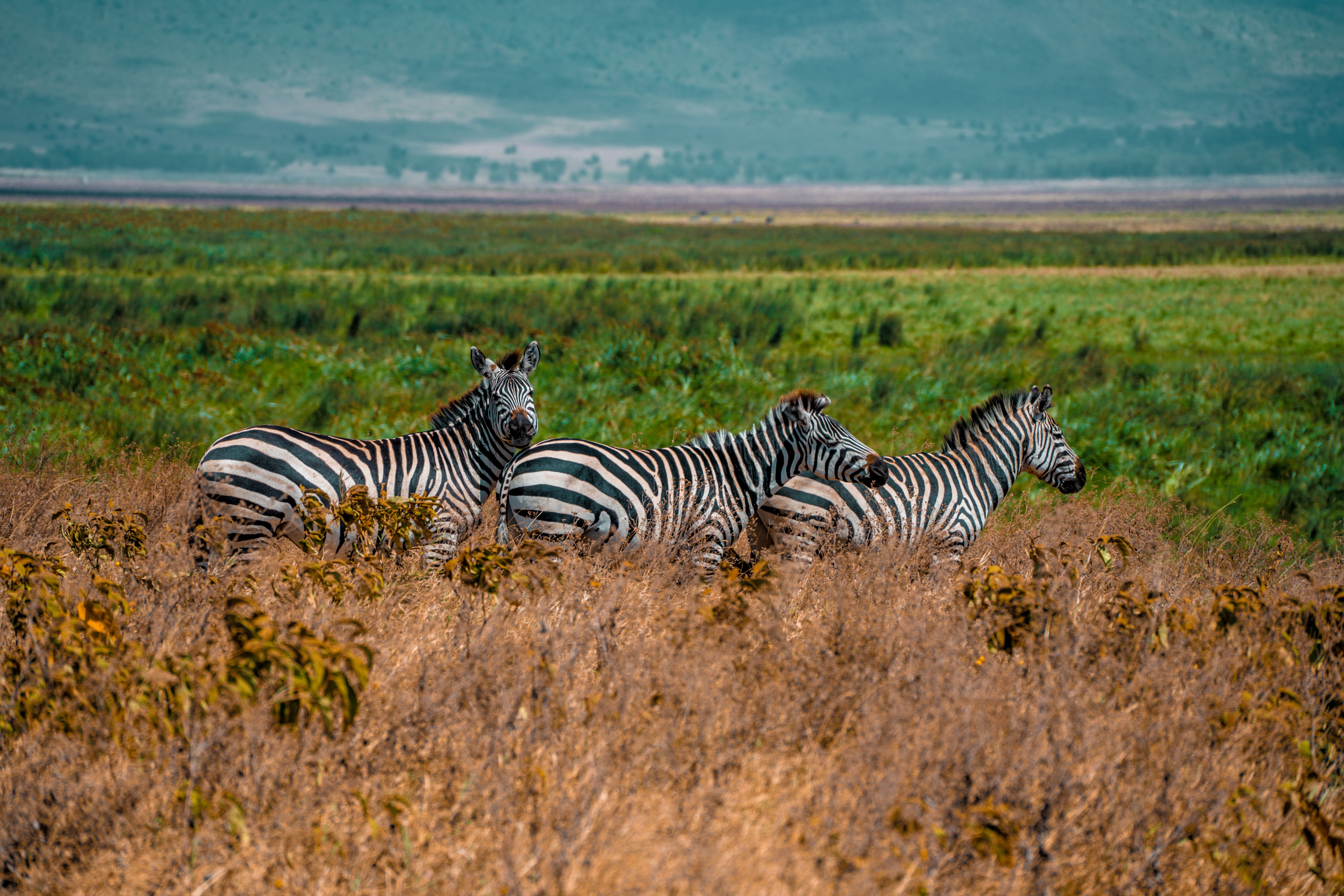 11 Day Yoga, Culture & Wildlife Retreat in Tanzania 1