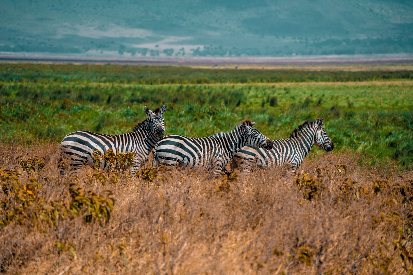 Tanzania